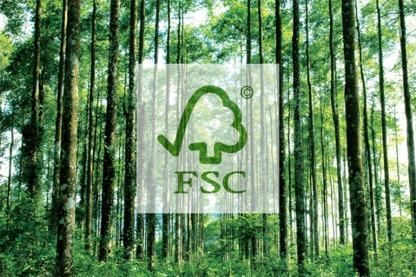 tìm hiểu về fsc